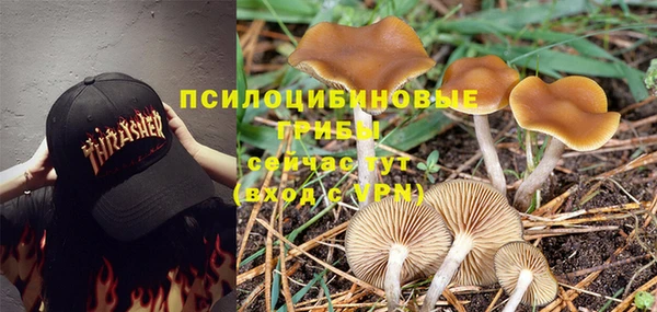 прущая мука Алзамай