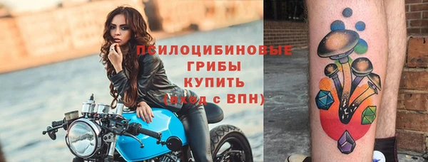 прущая мука Алзамай