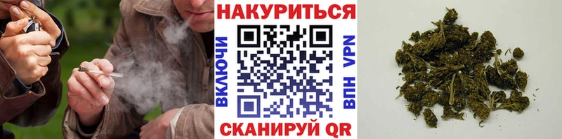 Конопля семена  МЕГА ТОР  Рошаль 